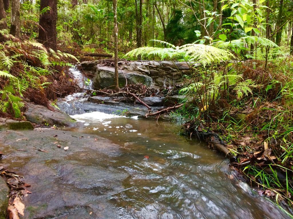 Apartamento Noosa Hinterland Retreat Tinbeerwah Exterior foto